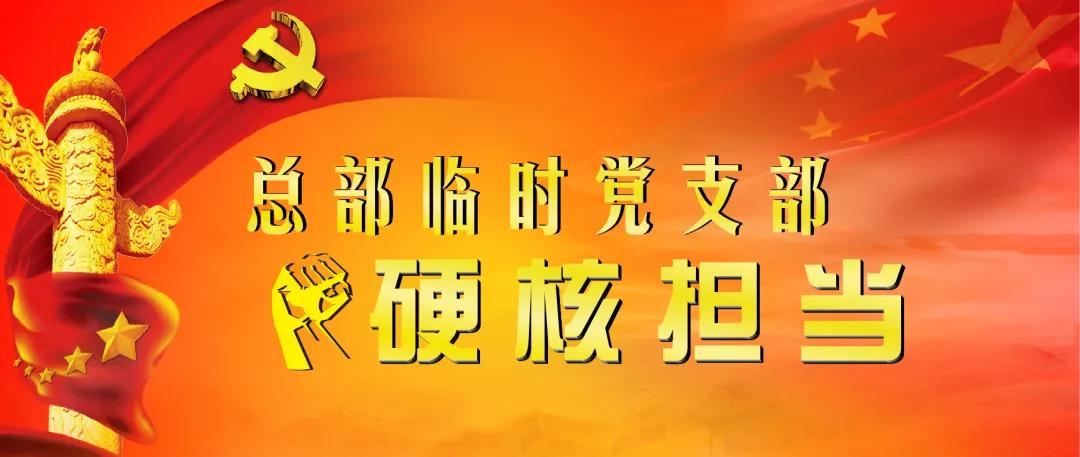 【总部临时党支部硬核担当 助力巡视整改“三个落实”之一】党建促执行 助力“行动落实” 【总部临时党支部硬核担当 助力巡视整改“三个落实”之一】党建促执行 助力“行动落实”