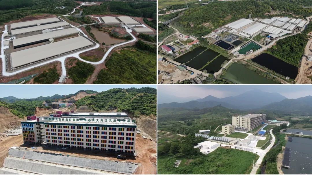 广新集团深入贯彻全省高质量发展大会精神(六) 广新集团深入贯彻全省高质量发展大会精神(六)