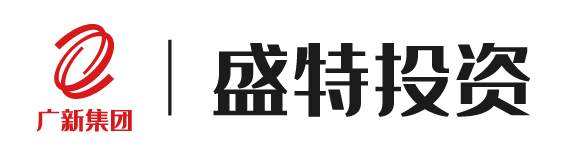 广东广新盛特投资有限公司