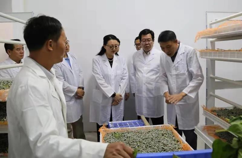 省国资委党委副书记、副主任贺宇出席广新集团定点帮扶村英德市镇南村蚕桑产业基地开业仪式 省国资委党委副书记、副主任贺宇出席广新集团定点帮扶村英德市镇南村蚕桑产业基地开业仪式